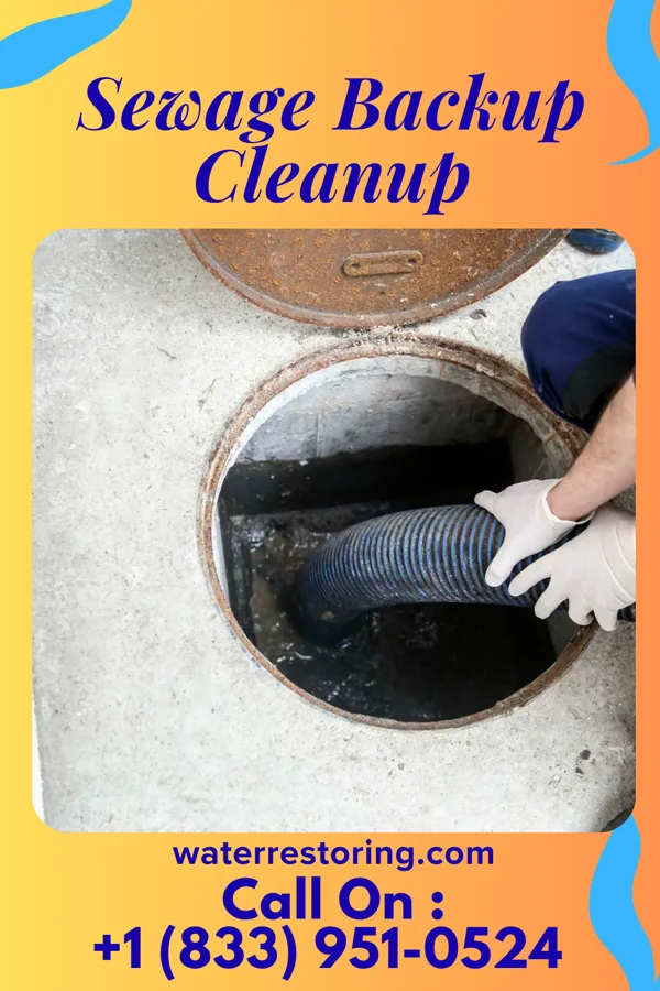 Sewage Backup Cleanup in Greenville, IN